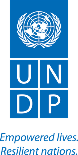 UNDP logo